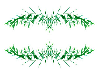 Obraz premium symétries de rameaux d'olivier