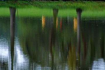 reflection of tree and grass in the lakes