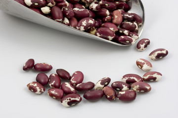 Scoop of spotted, purple and white Anasazi beans on white 