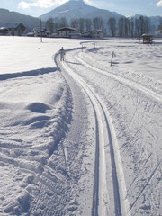 Fototapeta premium frau beim langlaufen in tirol