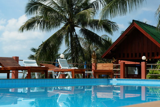 vacances de luxe, piscine et cocotier