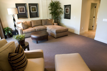 Living room with modern decor.