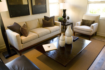 Luxury home living room with contemporary decor.