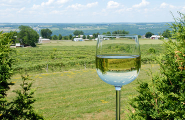 Vineyard in a Glass of Wine