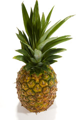 Fototapeta premium Ananas