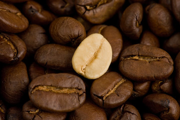 coffee beans