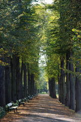 Bürgerpark Bremen