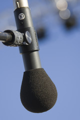 Microphone