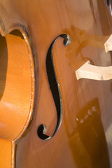 Contre basse