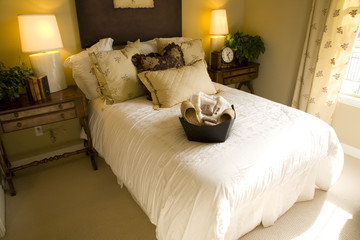 Fototapeta na wymiar Modern luxury home bedroom.