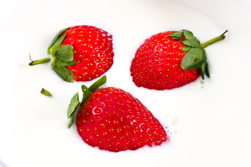 Berries of a ripe strawberry floating in milk