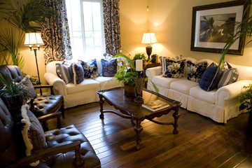 Comfortable luxury home living room.