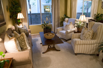 Living room with luxury decor.