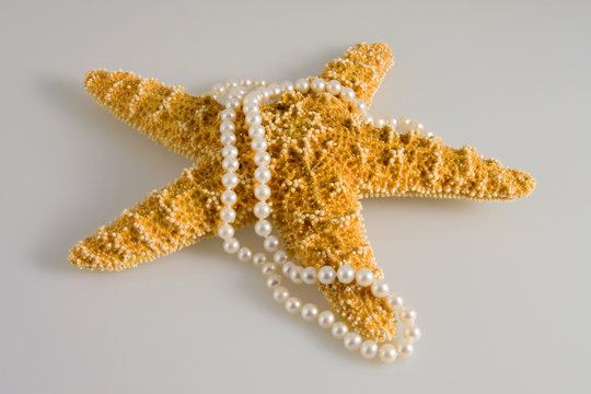 Star Fish Pearls