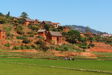 madagascar, riziere et village