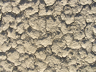 cracked earth