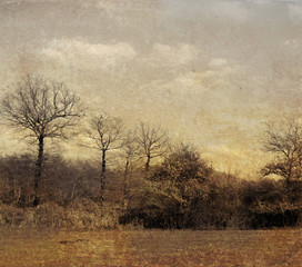 old-fashioned landscape - antique house - village     