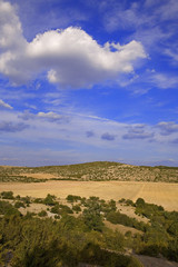 roussillon : causse de blandas : désert