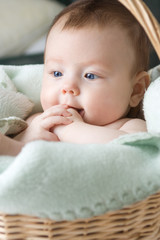 Baby in basket
