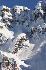 neve
