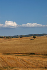 campagna toscana 2