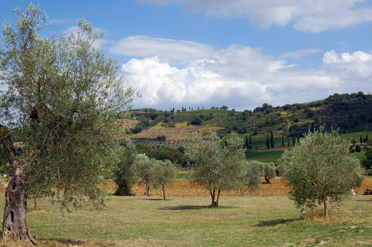 campagna toscana 3