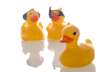 image of a cute rubber duck on white