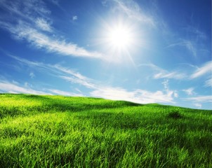 Field and sky