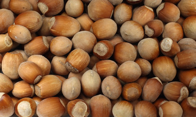 Background from wood nuts ( macro )
