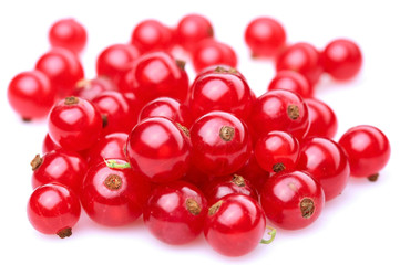 Red currant; Objects on white background