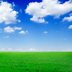 Fototapeta na wymiar zielone pole i chmury