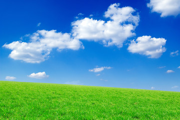 Green field, the blue sky, white clouds. A landscape