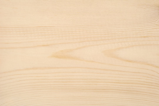 Holz