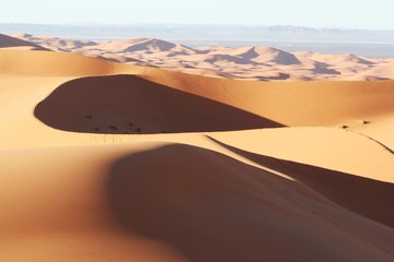 Deserts dune