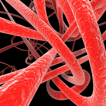 Close-up of human veins . 3d rendered illustration .