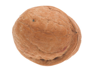 walnut isolated on white background