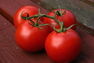 vine tomatoes