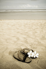 A pair of sandals, glasses and flowers on the sandy beach