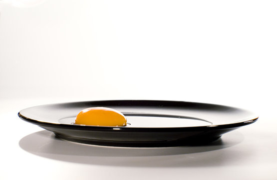egg