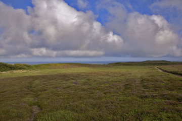 Fototapeta premium cap Frehel, bretagne, 22 : lande