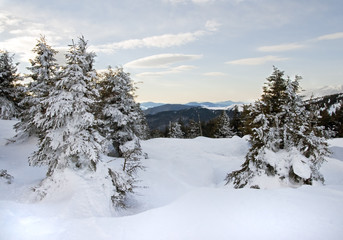 Winter mountain landscape (Ukraine, Carpathian Mt's)