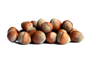  hazelnuts 