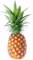 Pineapple; objects on white background