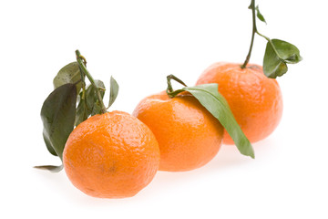 three tangerines macro isolated on white background