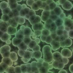 Bacteria seamless texture