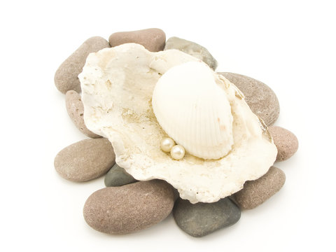 shell with pearls on marine pebble