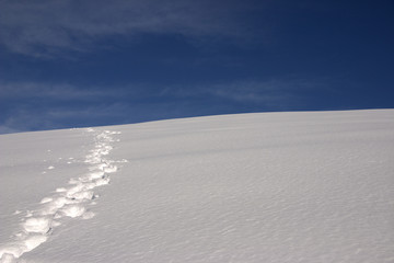 Tracce sulla neve
