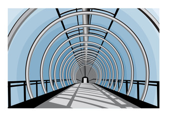 Elevated transition vector