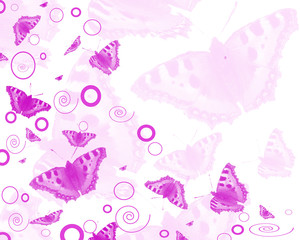 Obraz na płótnie Canvas Schmetterling,Hintergrund,pink