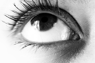 close up of womans eye